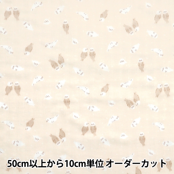 �ڿ���5����� ���� ��W������ �ۡ��ߡ����쥯����� �����餷 �١����� GH10665S-D��