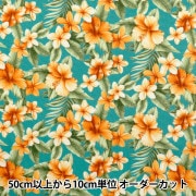 数量5から】 生地 『キャシーマム ラニダイ ラウレア 6500-01