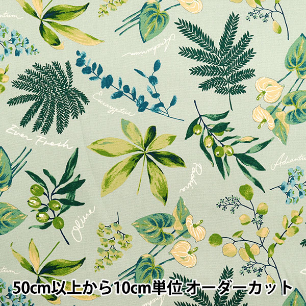 数量5から】 生地 『オックス ハウスプランツ ミント SC10672S-C