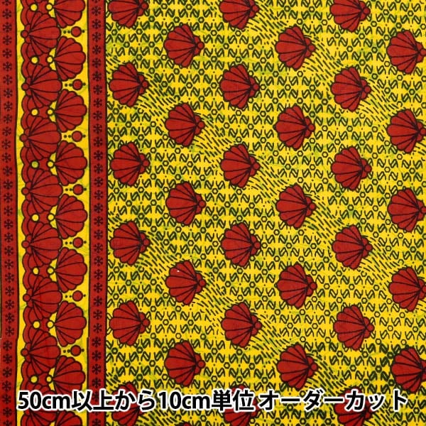 ڿ5  إեꥫץ RAM-AFR-25E