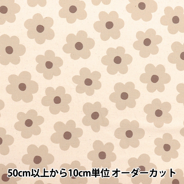 �ڿ���5����� ���� ��NOVA ���å��� ���������ȥ֥��å��� �١����� NOX-SB-BE�� KOKKA ���å� �ڥ楶��䥪�ꥸ�ʥ��