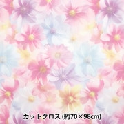 生地 『チュールプリントカットクロス ボタニカル柄 約70cm×98cm C