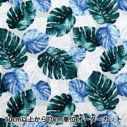 専用　①モンステラ柄プリント グリーン系/S　②ゼブラ柄　ダークネイビー/S 専用 ①モンステラ柄プリント グリーン系/S ②ゼブラ柄 ダーク