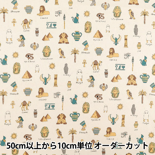 �ڿ���5����� ���� ��NOVA �������� �����ץȥ��ȡ��꡼�� �ʥ����� NSE-EGY-NA�� KOKKA ���å� �ڥ楶��䥪�ꥸ�ʥ��