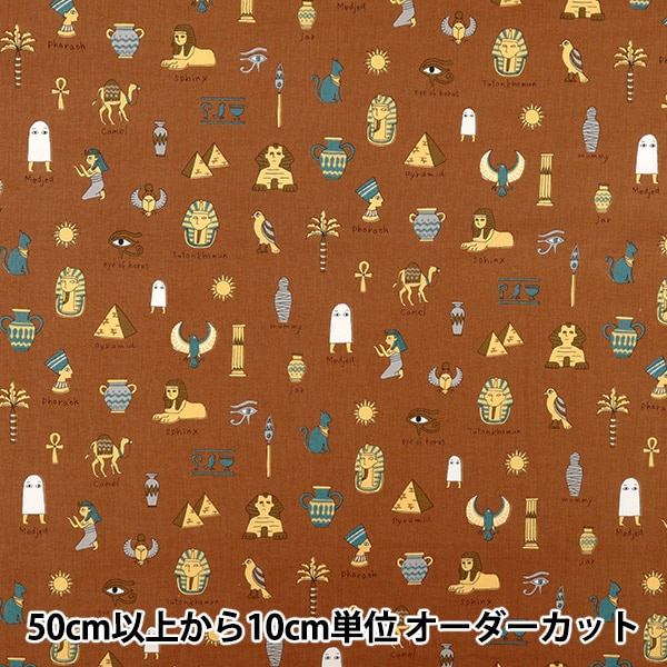 �ڿ���5����� ���� ��NOVA �������� �����ץȥ��ȡ��꡼�� �֥饦�� NSE-EGY-BR�� KOKKA ���å� �ڥ楶��䥪�ꥸ�ʥ��