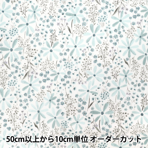 �ڿ���5����� ���� ��NOVA �������� ���⡼�����ܥ��˥��� �ߥ�� NSE-SMO-MI�� KOKKA ���å� �ڥ楶��䥪�ꥸ�ʥ��