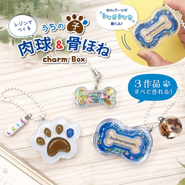 レジンキット 『レジンボックス うちの子肉球&ほね チャーム