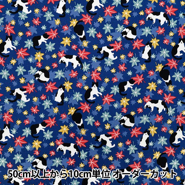 数量5から】 生地 『シーチング ハチワレ猫紅葉 ブルー YZ55902-1E