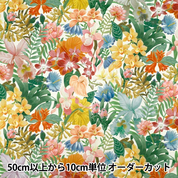 廃盤　OGAWA Liberty Forest Dome 5 Used 2022 Forest River RV Rockwood High Wall Series HW296
