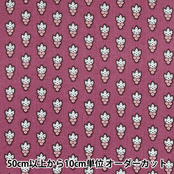 数量5から】 生地 『SOULEIADO ソレイアード シーチング ラ