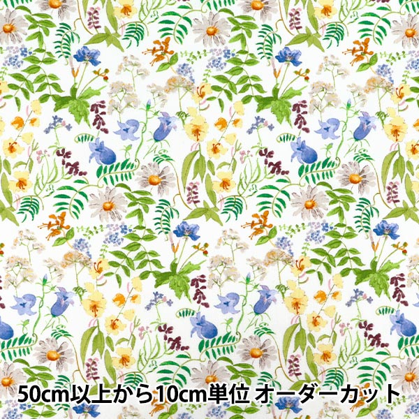 数量5から】 生地 『リバティ・ファブリックス 綿麻シーチング