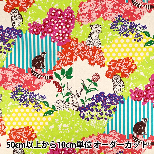 数量5から】 生地 『echino (エチノ) 綿麻キャンバス hide マルチ EKX