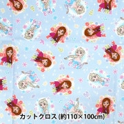 ワッペン 『ディズニー ワッペン アナと雪の女王2 MY448』 PIONEER