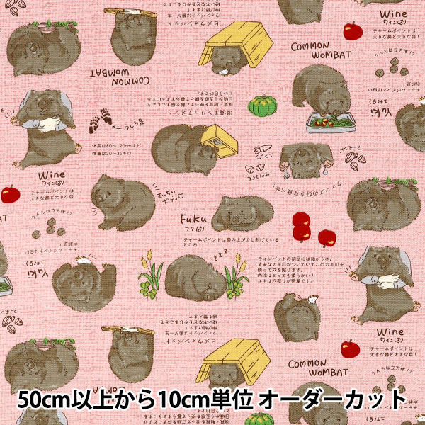 数量5から】 生地 『オックス ウォンバット ピンク AP62901-1B』 生地