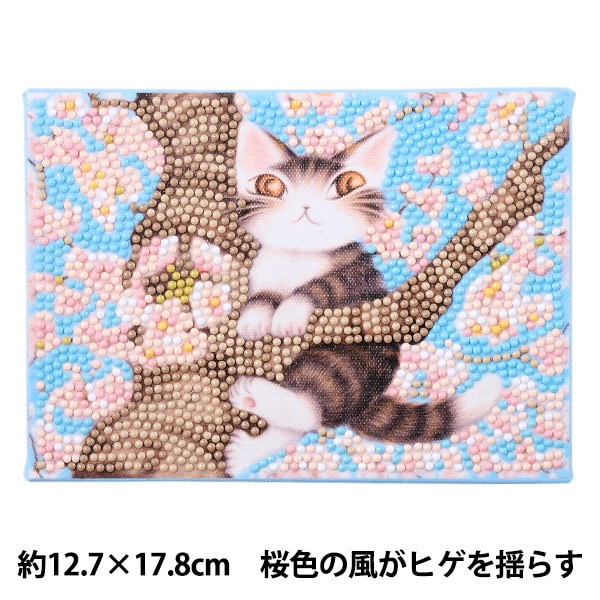 �ӡ������å� �إ�������ɥե��å��� ǭ�Υ���� �����������ҥ����ɤ餹 DF2L-WF002�� ������