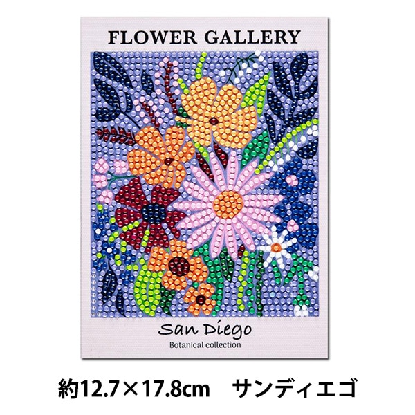 �ӡ������å� �إ�������ɥե��å��� �ܥ��˥��륳�쥯����� ����ǥ������� ������