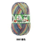 ソックヤーン 毛糸 『Snowdrop(スノードロップ) Xlarge 8ply 9885番色