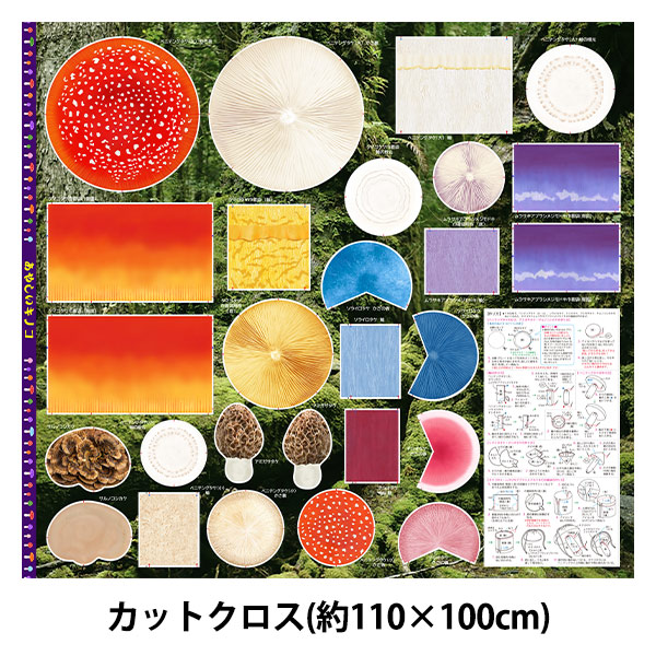 ���� �إѥͥ�ץ��� ���åȥ����� ���䤷�����Υ� ��110��100cm KINOKOA-PANEL��