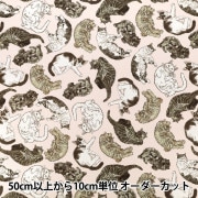 �ڿ���5����� ���� ��365CAT.ART �������� �ɤ���ǭ���餱 EKX-1710-2A�� KOKKA ���å�