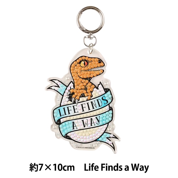 �ӡ������å� �إ�������ɥե��å�������饷�å��ѡ��������ۥ���� LIFE FINDS a Way DFKH-UV004��