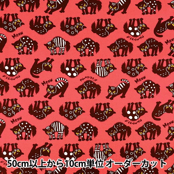 数量5から】 生地 『オックス パキットアニマル やんのかネコ ピンク