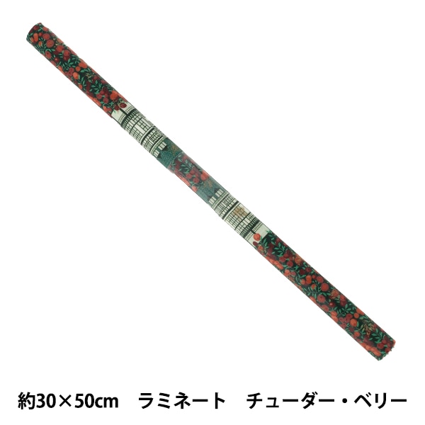 生地 『リバティ・ファブリックス ラミネートカットクロス 約30×50cm