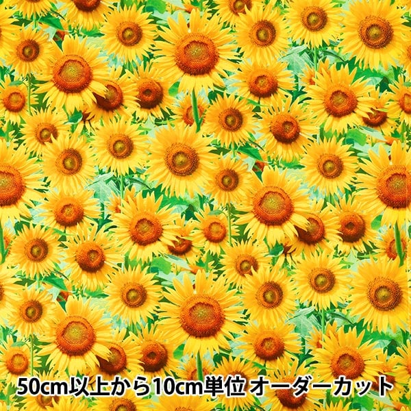 数量5から】 生地 『シーチング インクジェットプリント ひまわり KOM