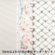 ڿ5  إå إ ͤ ֥饦 AP45205-2D