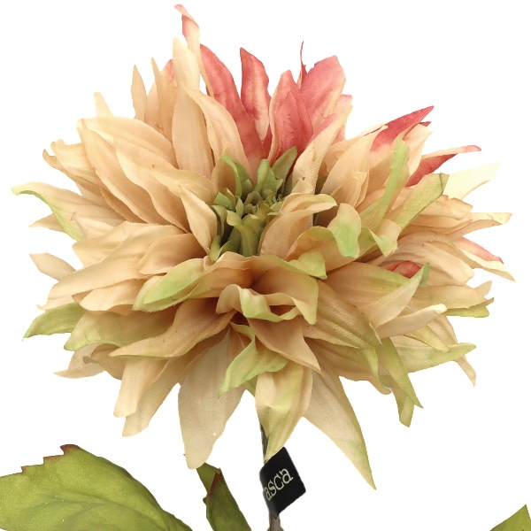 造花 シルクフラワー 『ダリア アイボリーピンク A-34441-091P』 asca