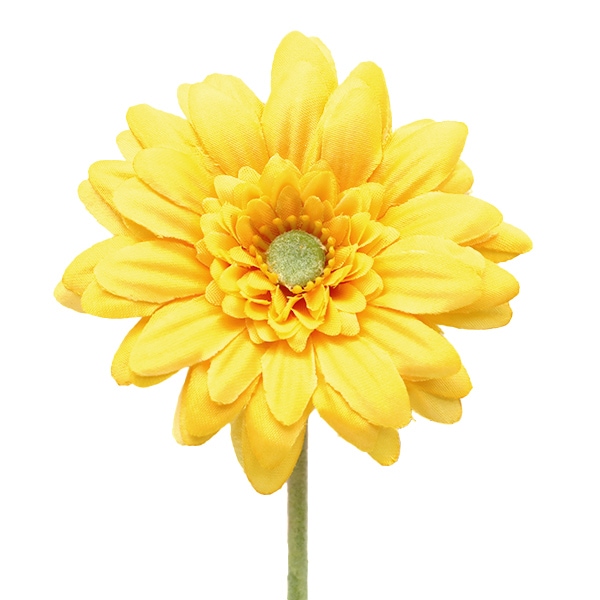 ¤�� ���륯�ե� �إ��硼�ȥ����٥� F3723 Y��