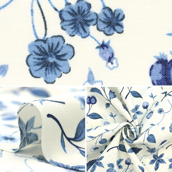 菫さま専用8/23限定 中輪胡蝶蘭「桜姫」スタンダードタイプ 3本立ち | 中輪胡蝶蘭