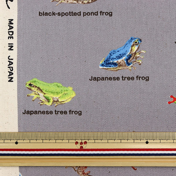 数量5から】 生地 『ツイル カエル図鑑 KTS6857-B』 COTTON