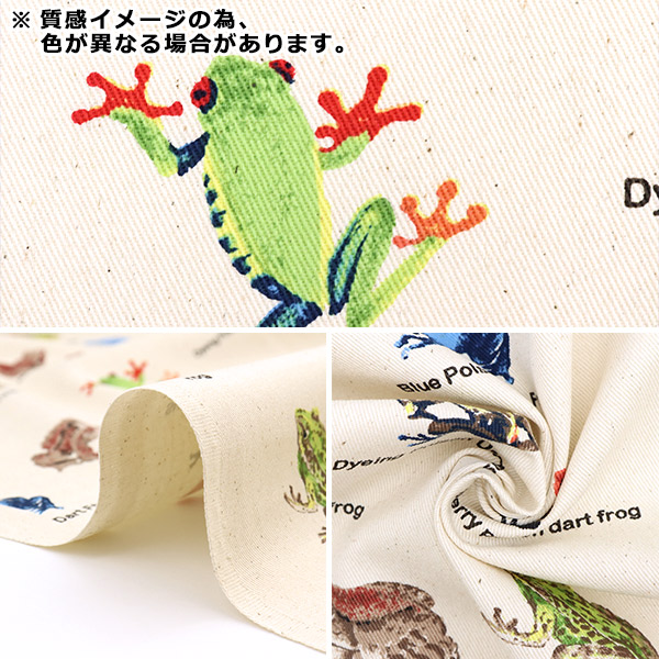 貴重！　Jewels of the Rainforest ヤドクガエル　洋書図鑑 貴重！ Jewels of the Rainforest ヤドクガエル 洋書図鑑 - メルカリ