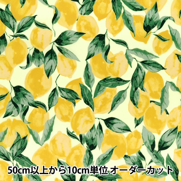パネル 『張りキャンバス P10』 CLAESSENS JAPAN クレサンジャパン
