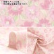�ڸ��ʸ¤�ۡڿ���5����� ���� �إ��㡼�ƥ��� ������ �ͥ��ӡ� CC823165-3�� YUWA ͭ�ؾ�Ź �����ޥ󥳥쥯�����