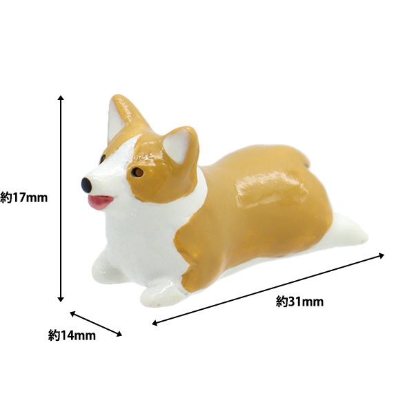 いち！にの！コーギー 【レア サンプル品】JBサイズ