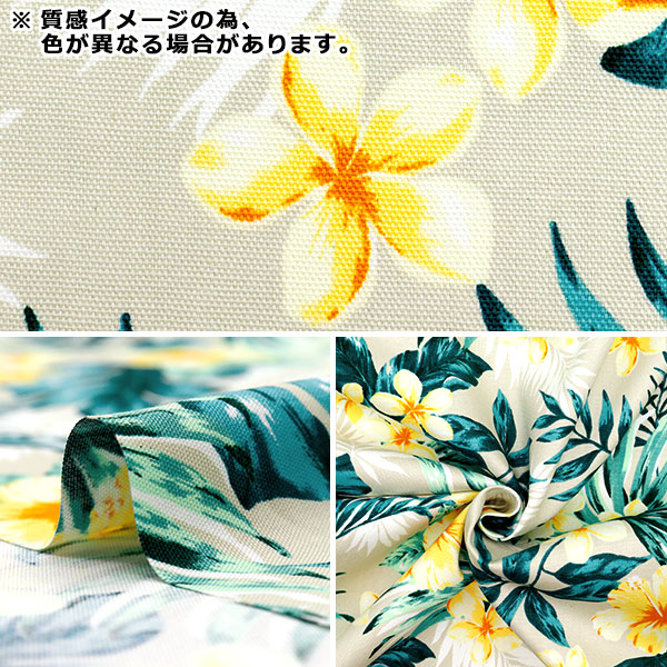 ☆★ iroca 「jellyfish rainbow」リバーシブル半幅帯 ★☆ Zeeee! シーバスルアー リバンク99F チャートカビボラ: 釣具の
