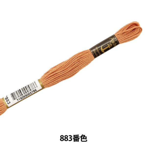 1_000000062704.jpg