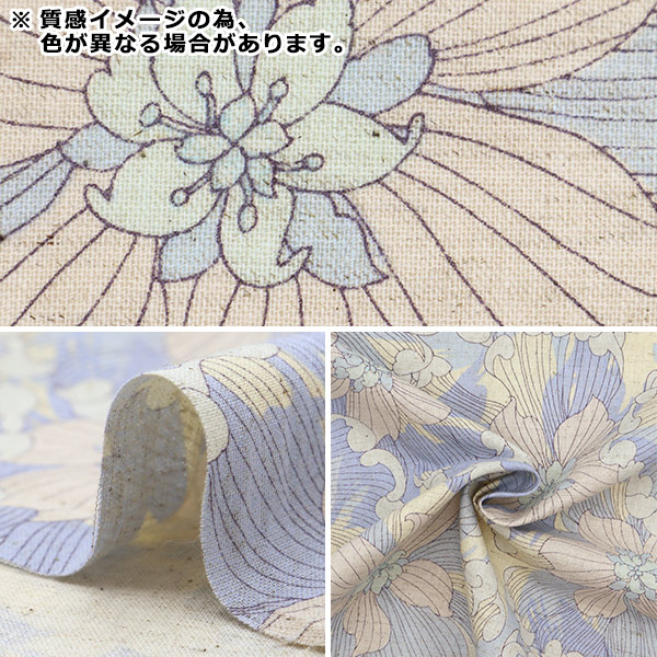 �ڸ��ʸ¤�� �ڿ���5����� ���� �����㥷������ ���㥤�ʥե� �ۥ磻�� CC443110-3�� YUWA ͭ�ؾ�Ź �����ޥ󥳥쥯�����