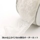 �ڿ���5����� �졼�� �إ��塼��ե�� ���եۥ磻�� 24391F��