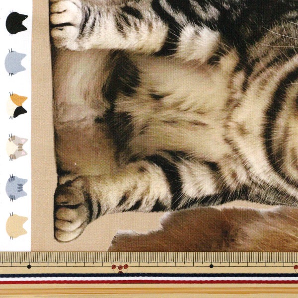 けあねこ(=^・^=) 数量5から】 生地 『シーチング インクジェットプリント ネコ KOM-012