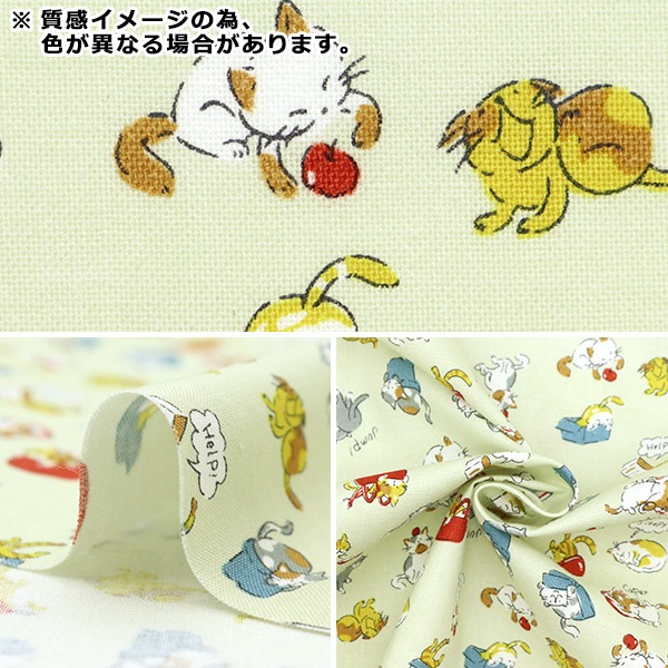 yucca-様ご確認ページ スタッフ詳細| A-net ONLINE STORE
