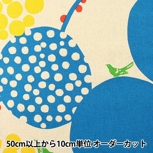 �ڿ���5����� ���� ��echino ����������� Bigberry �����Х� 12B�� KOKKA ���å�