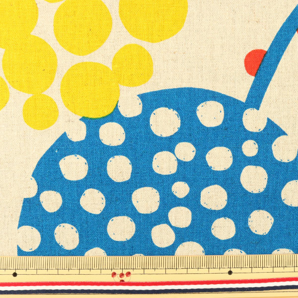 �ڿ���5����� ���� ��echino ����������� Bigberry �����Х� 12B�� KOKKA ���å�