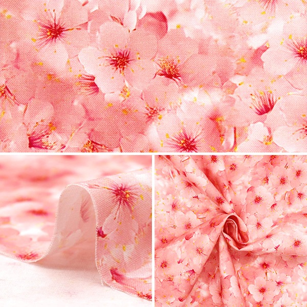 数量5から】 生地 『シーチング インクジェットプリント 桜 KOM