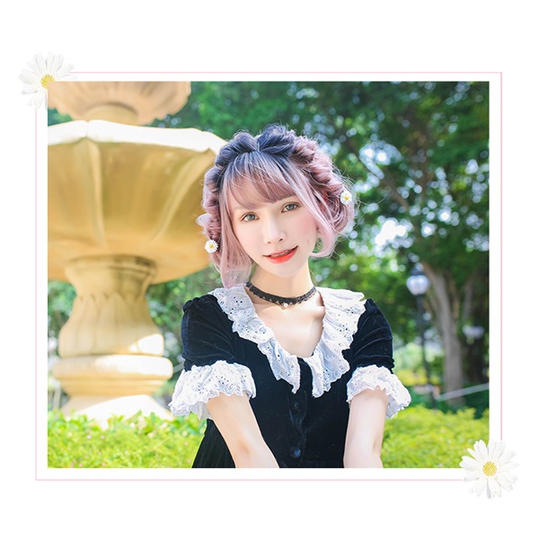 �����å� ��Tefure (�ƥե�) ��ͥܥ� �֥�å��ߥ��å���ԥ� DW-3066R�� Fujitatsu �ٻ�ã