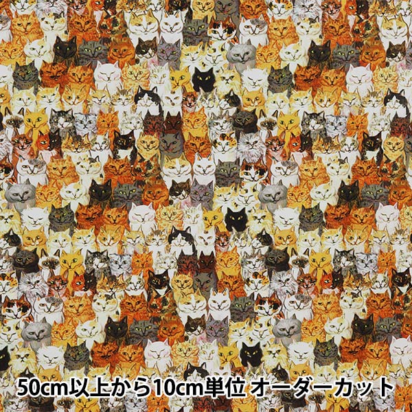 �ڿ���5����� ���� �إ��󥯥����åȥץ��� ���ޥΥ쥤�� ���� KA-07��