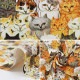 �ڿ���5����� ���� �إ��󥯥����åȥץ��� ���ޥΥ쥤�� ���� KA-07��