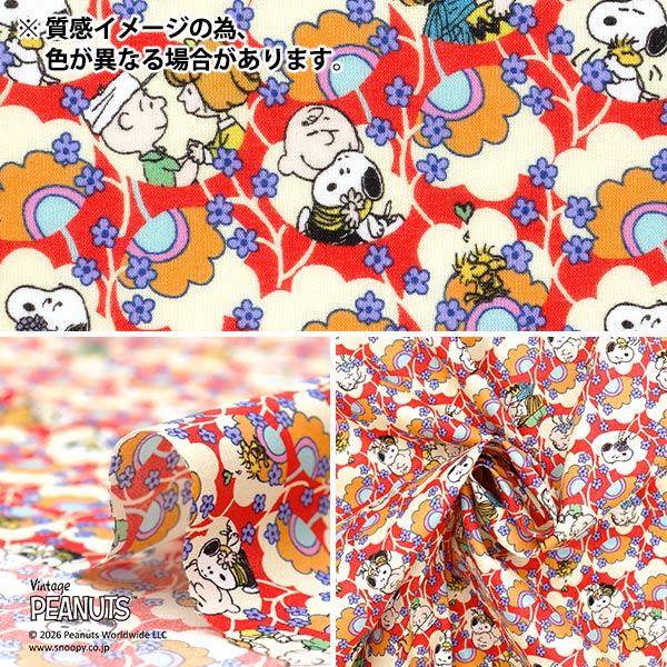 �ڿ���5����� ���� �إ�Хƥ����ե��֥�å��� ���ʥ����� �ե��ɥ��åס��֥롼�ॺ DC34864-J26A�� Liberty Japan ��Хƥ�����ѥ�