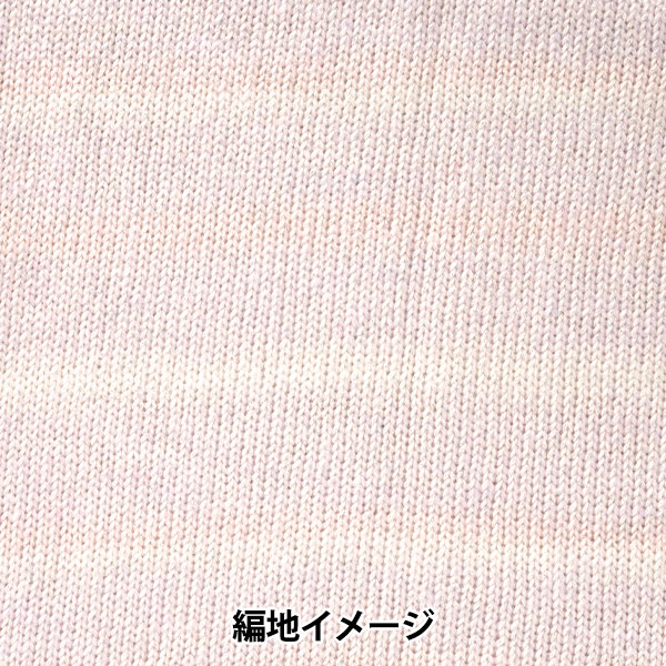 ゆき②　ルブタン水色ビジューグラデーション　左足　★ 秋冬毛糸 『ピルエットXL 1102番色』 DMC ディーエムシー 毛糸_